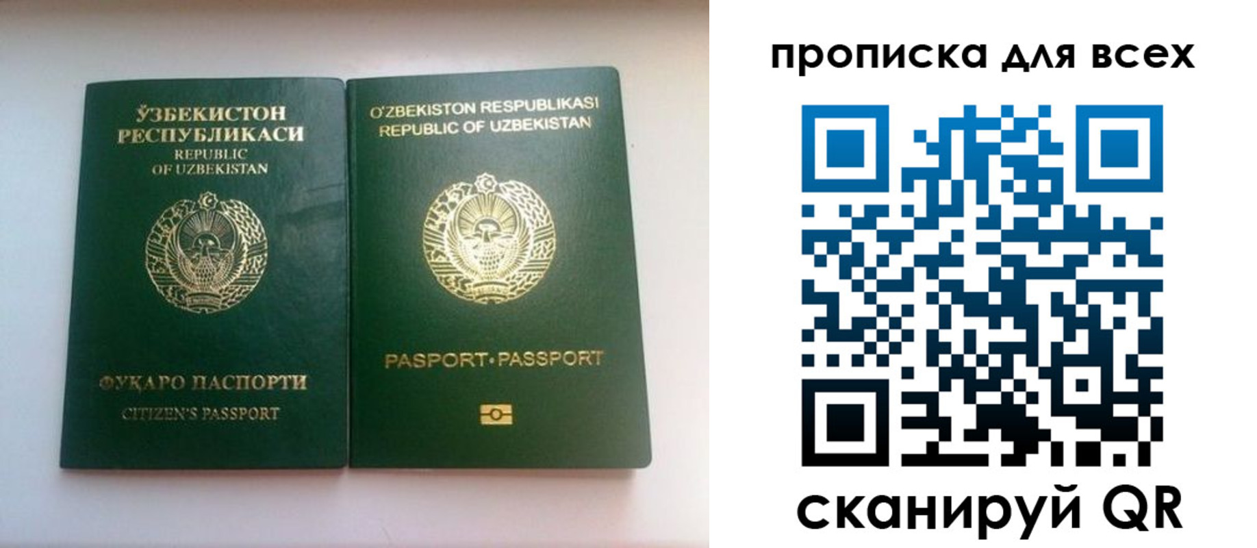 прописка для школы в Переславль-Залесском